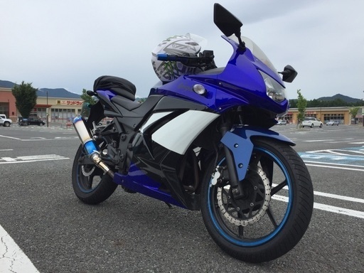 Ninja250R Kawasaki ニンジャ
