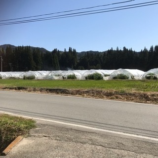 農地 土地 農業 ビニールハウス 田 畑 トマト ほうれん草 メロン