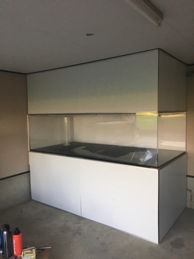 大型水槽 熱帯魚 フルセット