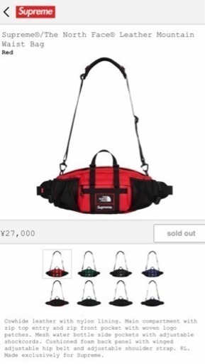 Supreme the north face leather mountain store waist bag