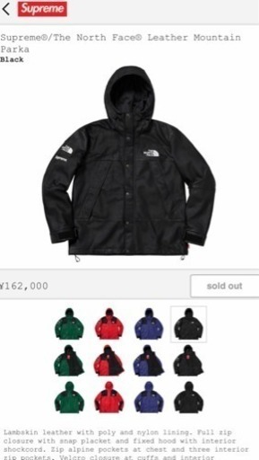 Supreme®/The North Face® Leather Mountain