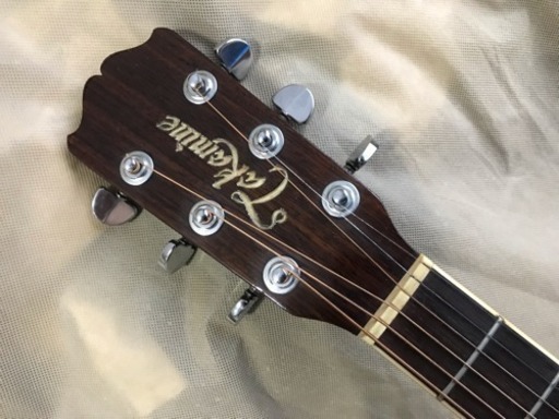 ＴＡＫＡＭＩＮＥ　　ＰＴ－０６Ｅ