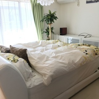 クィーンサイズ ベッド Sarta 全米No. 1ブランド