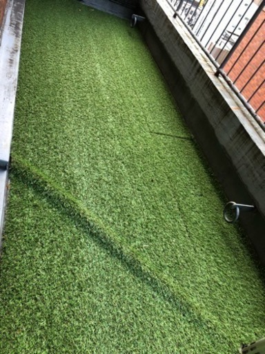 リアル人工芝1m×10m弱