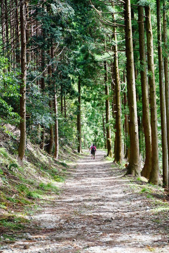 ４５歳から５５歳までのハイキング登山サークル よし 鶴舞の友達のメンバー募集 無料掲載の掲示板 ジモティー