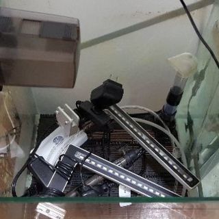 アクア用品全て処分します。