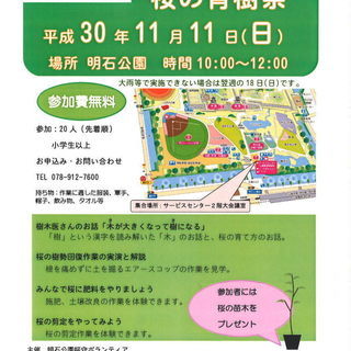 明石公園　桜の育樹祭