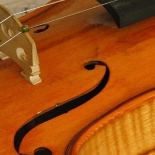 バイオリン練習仲間