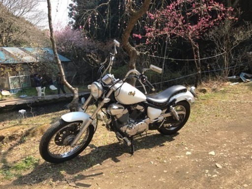 ビラーゴ250