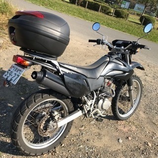 xr230 MD36 40000キロ