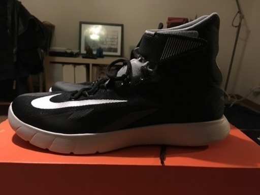 nike zoom hyperrev 2014