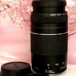 高機能・軽量❤️ド迫力300mm超望遠レンズ❤️Canon 75-300mm 高機能・軽量❤️ド迫力300mm超望遠レンズ❤️Canon 75-300mm