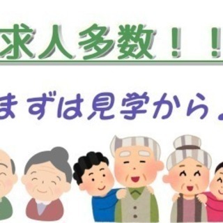 ◆紹介予定派遣◆グループホームでの介護のお仕事◆チームワークが魅力 - 福祉