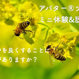 1hour 無料体験開催中：意図的に生きるアバター®️心理テクニック