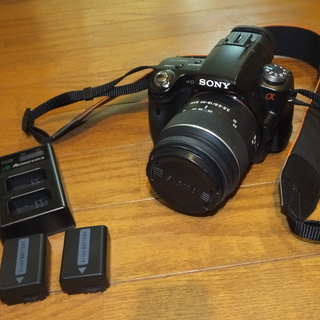 Ｓｏｎｙ　ＳＬＴ-ａ33　標準レンズ付き