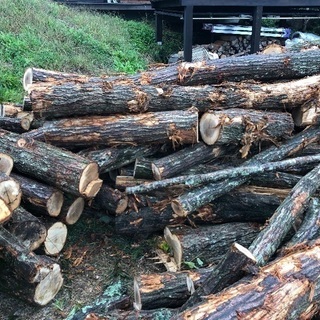 薪ストーブ 薪用 広葉樹 コナラ 4m 400mm径位まで 軽トラ一台分