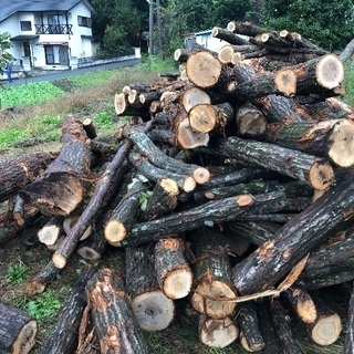 薪ストーブ 薪用 広葉樹 コナラ 4m 400mm径位まで 軽トラ一台分