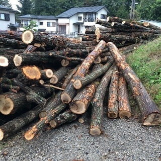 薪ストーブ 薪用 広葉樹 コナラ 4m 400mm径位まで 軽トラ一台分
