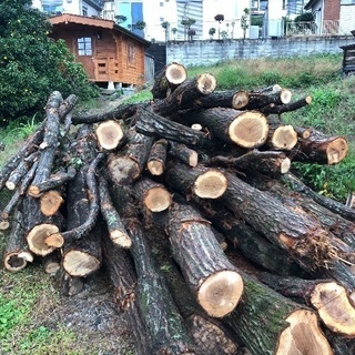 薪ストーブ 薪用 広葉樹 コナラ 4m 400mm径位まで 軽トラ一台分