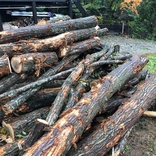 薪ストーブ 薪用 広葉樹 コナラ 4m 400mm径位まで 軽トラ一台分