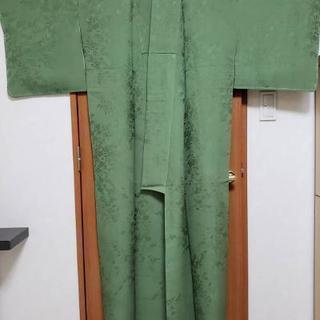 色無地(一つ紋)