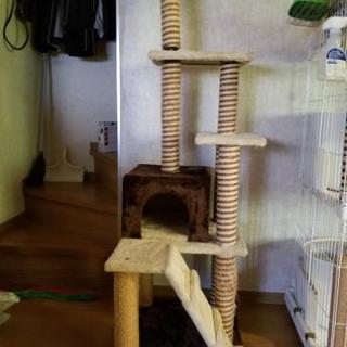猫タワー