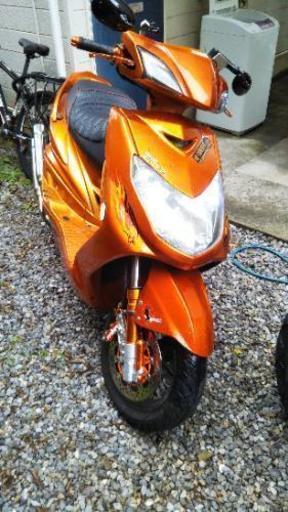 シグナス2型