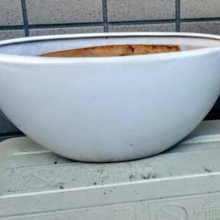 ❰決定❱陶器製 ボート型 化粧鉢🌼