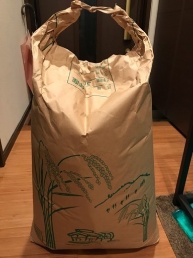 新米 コシヒカリ 30kg