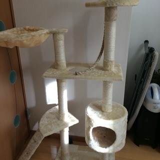 猫ちゃんキャットタワーと子猫用トイレ