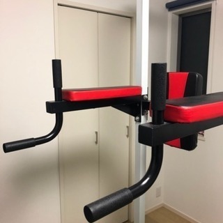 アイロテック 懸垂 ホームジム - フィットネス、トレーニング