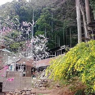 山を開発して小屋を建てたりしている人！