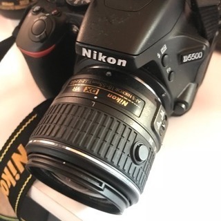 【別売り可】Nikon D5500  &  AF-P NIKKO...