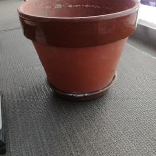 丸型　植木鉢　プランター