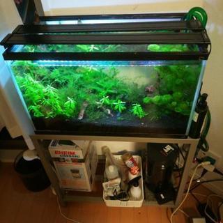 【値下げしました】熱帯魚水草流木アクアリウム水槽・LED照明2本...