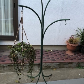 中古ハンギングスタンドが無料 格安で買える ジモティー