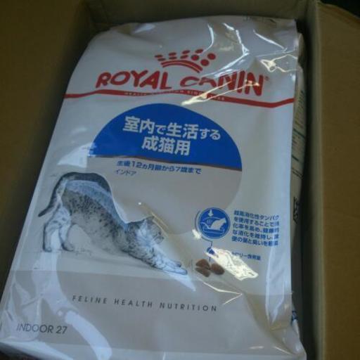 【3月分入荷しました】ロイヤルカナン 猫 インドア 10kg≪正規品≫(室内で生活する成猫用 アダルト 室内猫 ドライフード プレミアムフード \n