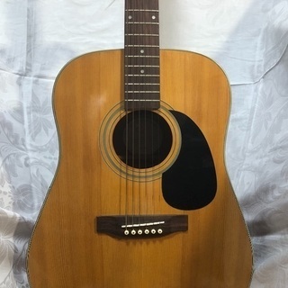 Epi D-10 ギター
