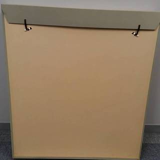 絵画】 岐阜市市民栄誉賞受賞 伊藤嘉晃先生 中将姫誓願桜