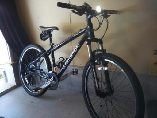 ルイガノ lgs-xc-caspar pro2011　投稿今週までです