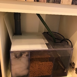 ガラスオーバーフロー水槽 縦60×横60×奥45