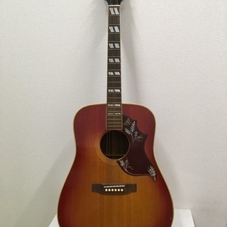 Mountain アコースティックギター EST.1948