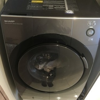 SHARPドラム式洗濯機2013年製 | w2-worldbuffet.co.uk