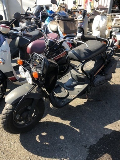 HONDA  ズーマー  AF58-12 不動 福岡市南区