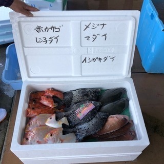 長崎県 五島列島 鮮魚販売