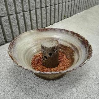 メダカ　金魚　睡蓮　鉢