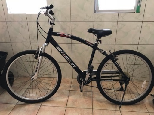 safari 自転車