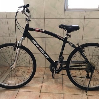 safari 自転車