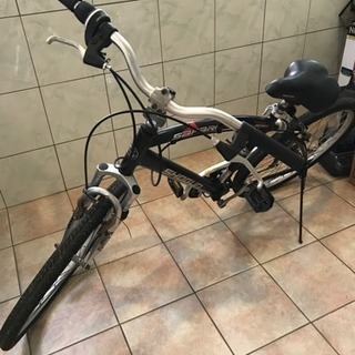 safari 自転車