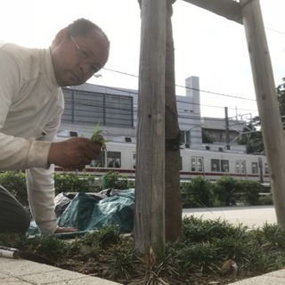 庭木の剪定 伐採 作庭 庭の手入れ店 ツチヤガーデンホーム【所沢...